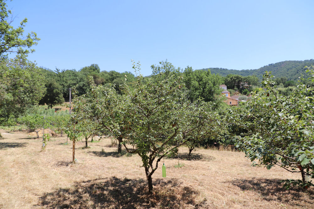 Vente Terrain Terrain à Bâtir - Collobrières - libre constructeur Collobrieres