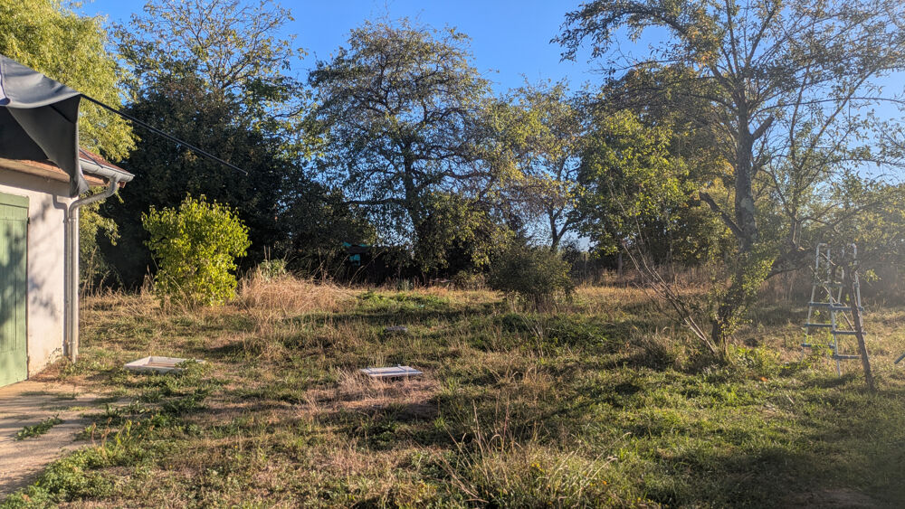 Maison au calme avec grand terrain