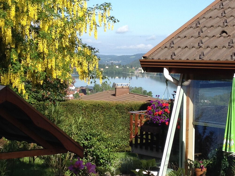 GERARDMER CHALET AVEC VUE PANORAMIQUE AVEC VUE LAC ET MONTAGNE