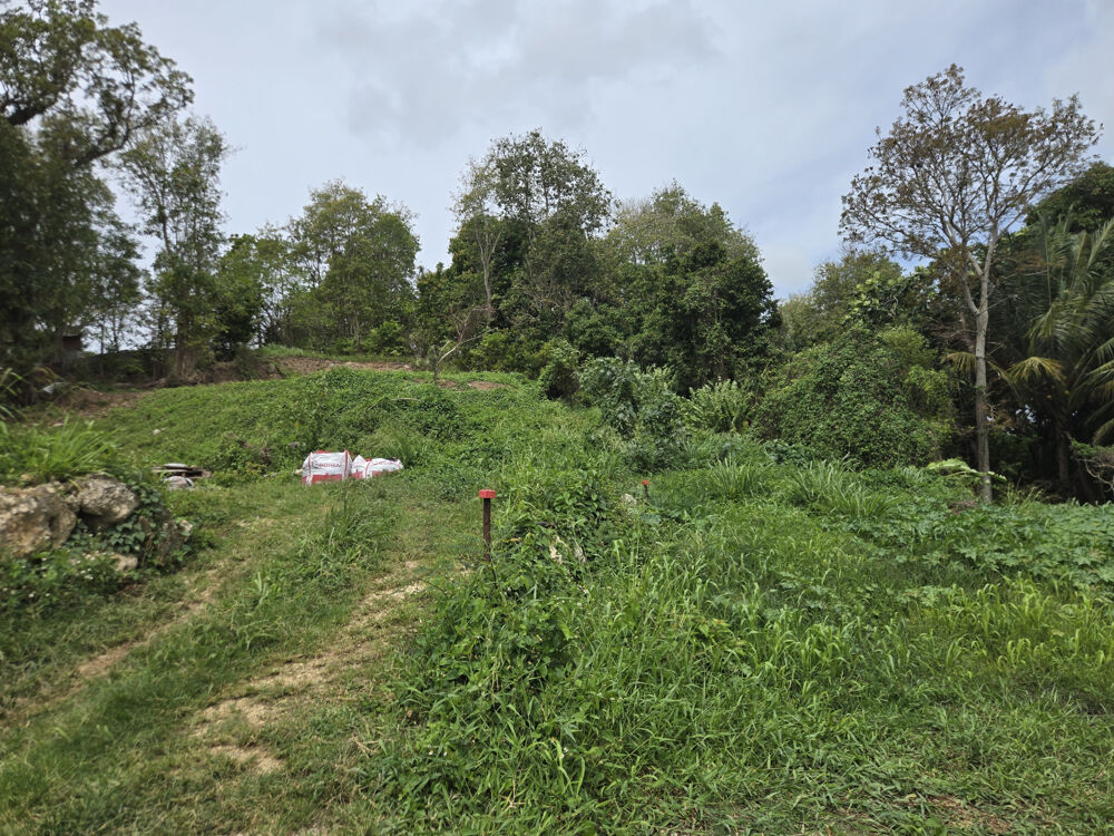 Vente Terrain terrain constructible les Abymes 97139 Guadeloupe Les abymes