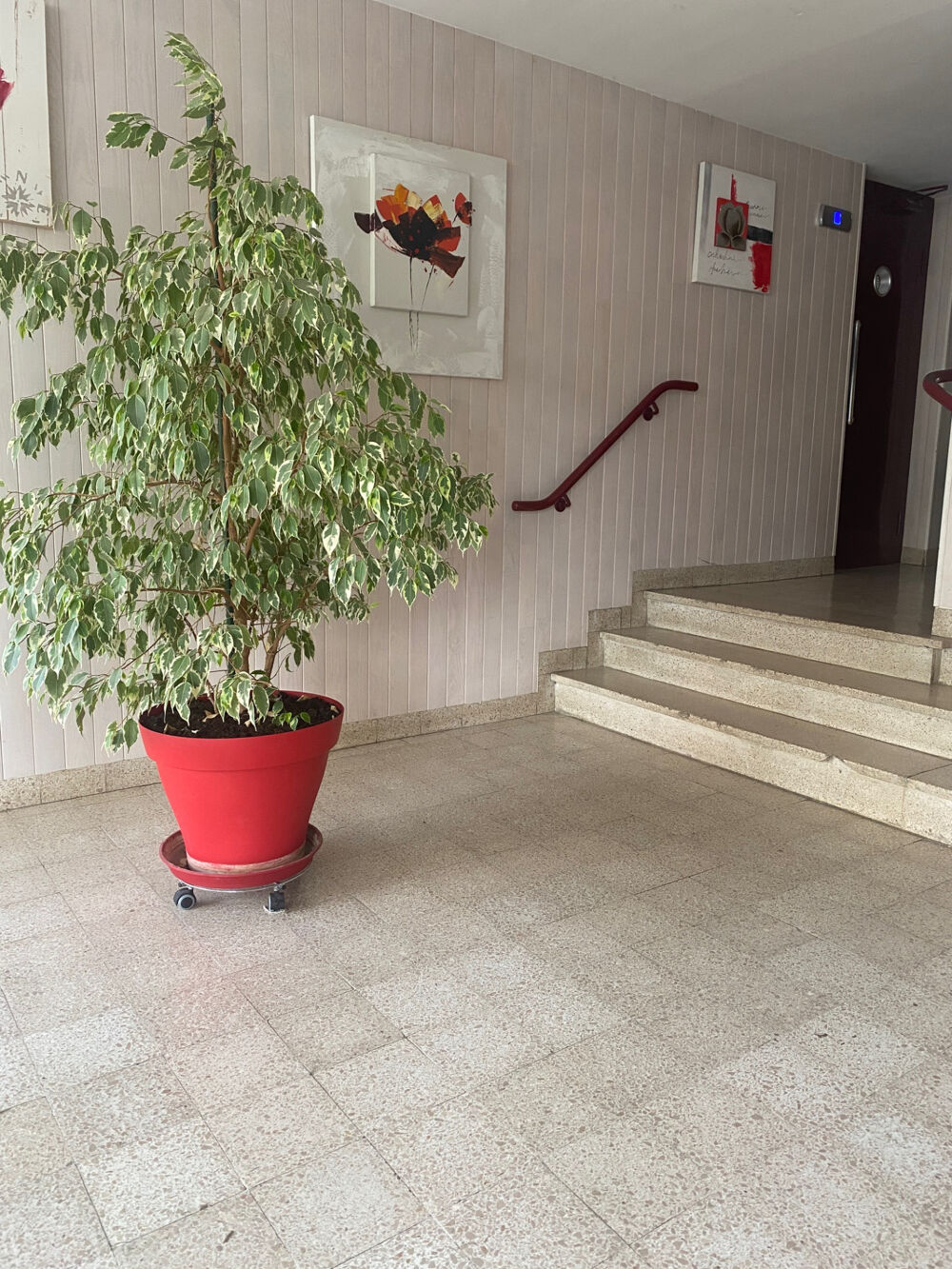 BEL APPARTEMENT LUMINEUX 110 M2 CENTRE-VILLE CHAUMONT
