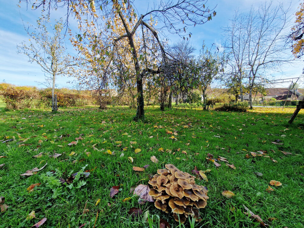Vente Maison Maison en pierre de caractère 165 m2 sur 2053 m2 de terrain Varennes sur Amance Varennes sur amance