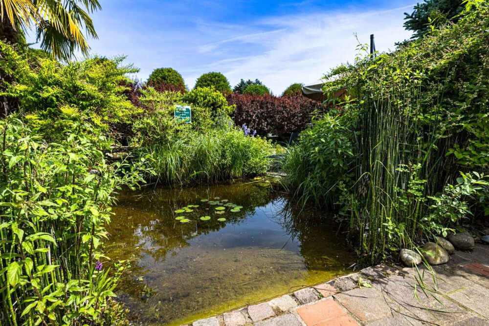  vendre  Proprit/chteau Chalon-sur-Sane (71100)