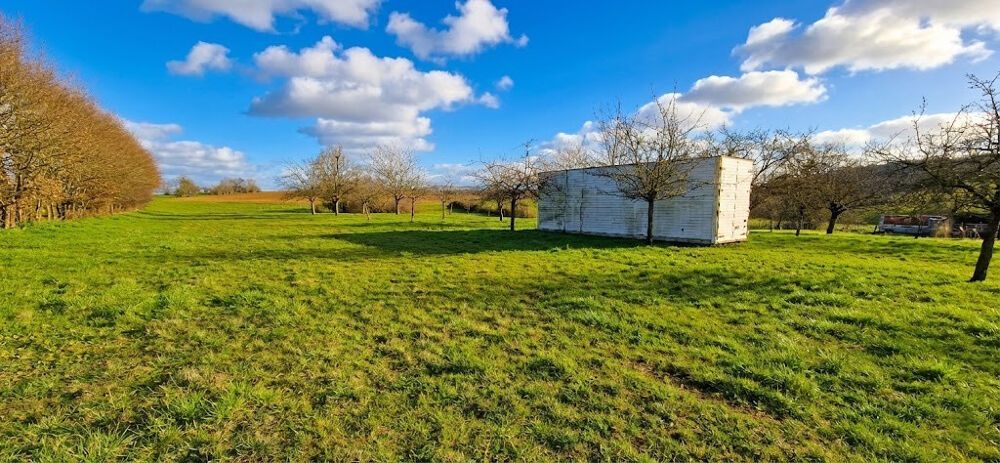 Vente Maison Maison en Pierre de 258 m2, Atelier XXL, 3 Hangars et 2 Hectares de Liberté ! Villars st marcellin