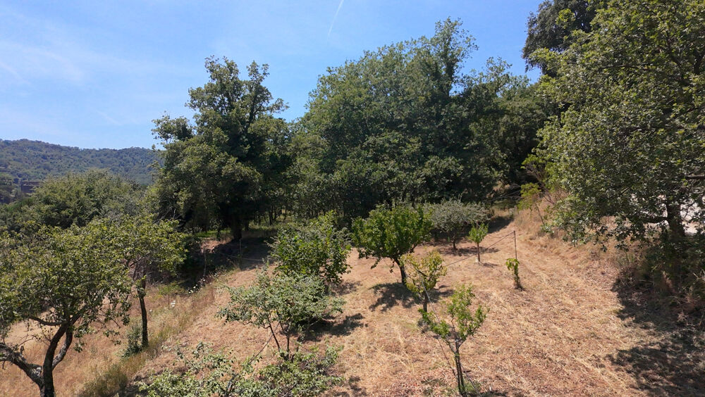 Vente Terrain Terrain à Bâtir - Collobrières - libre constructeur Collobrieres