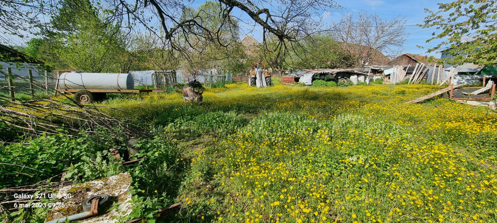 Vente Terrain Terrain constructible L'H�pital du Grosbois L hopital du grosbois