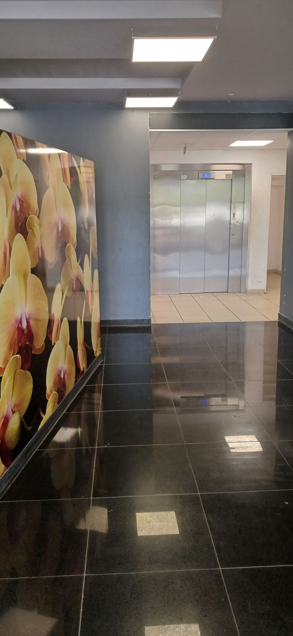 Appartement T1 de 42 m2 situé à Sainte-Clotilde 97490