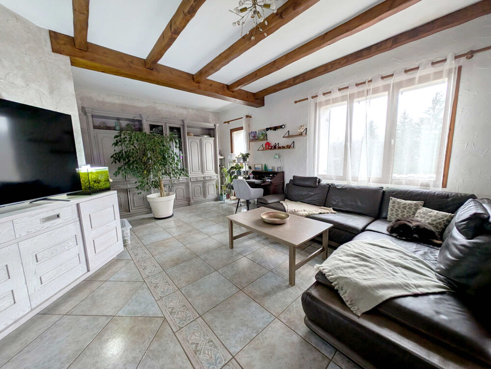 Vente Maison Maison familiale avec piscine, grand terrain et appartement indépendant   Rare à Dortan Dortan