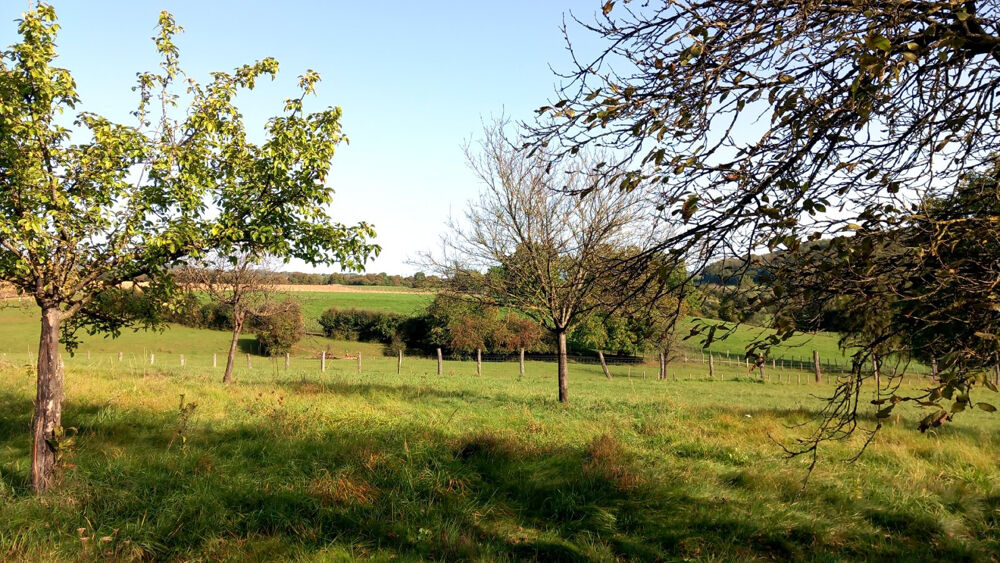 Vente Maison Maison en Pierre de 258 m2, Atelier XXL, 3 Hangars et 2 Hectares de Liberté ! Villars st marcellin