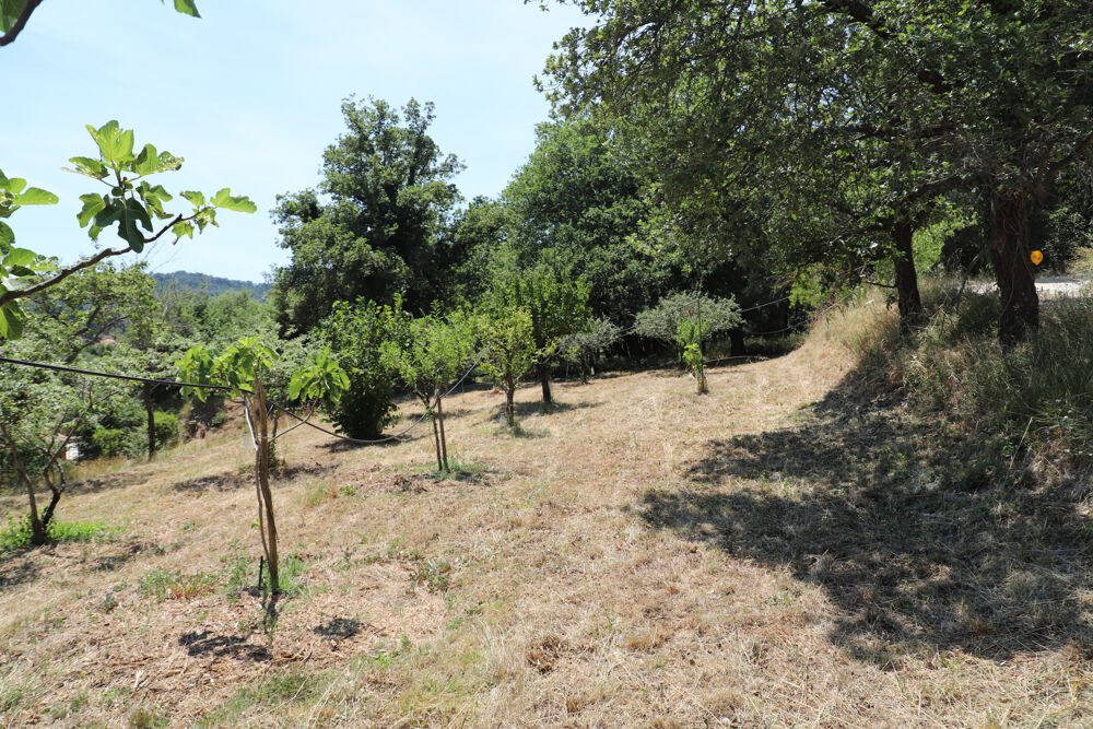 Vente Terrain Terrain à Bâtir - Collobrières - libre constructeur Collobrieres