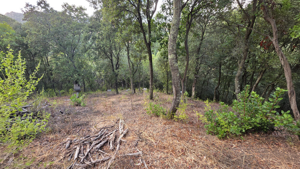 Vente Terrain Terrain à batir arboré de 1500 m2  à ALATA Alata