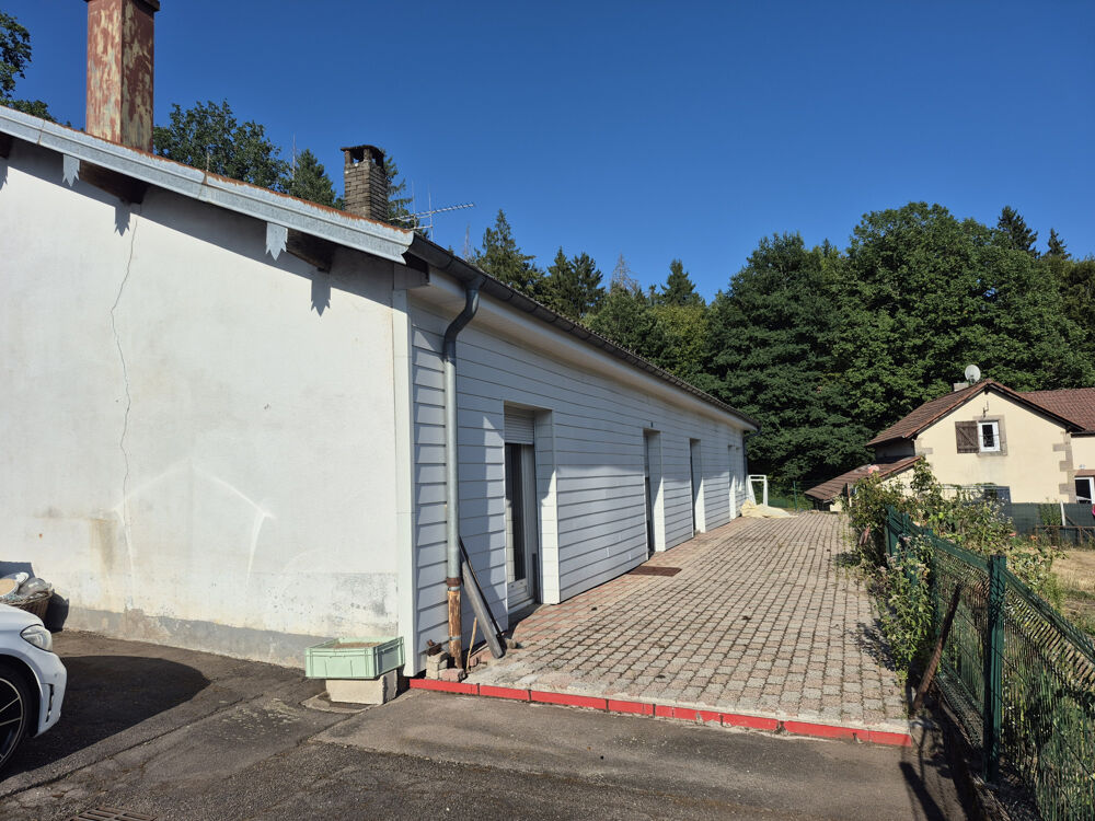 Vente Maison Maison à fort potentiel sur beau terrain Luxeuil les bains