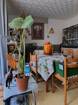  Appartement à vendre 2 pièces 53 m²