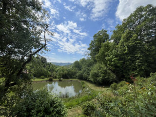  Proprit/chteau  vendre 15 + pices 330 m