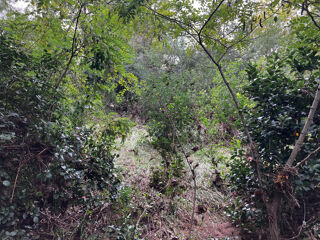  Terrain à vendre 800 m²