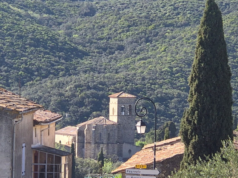 Vente Maison Maison de village avec garage et potentiel - à rénover à Vailhan Vailhan
