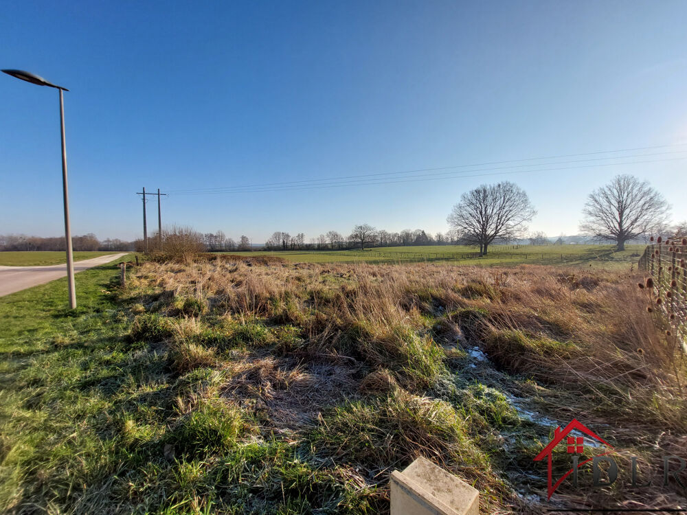 Vente Terrain Parcelle de terrain de 1807m2 avec plus de 1103 m2 constructible. Planrupt