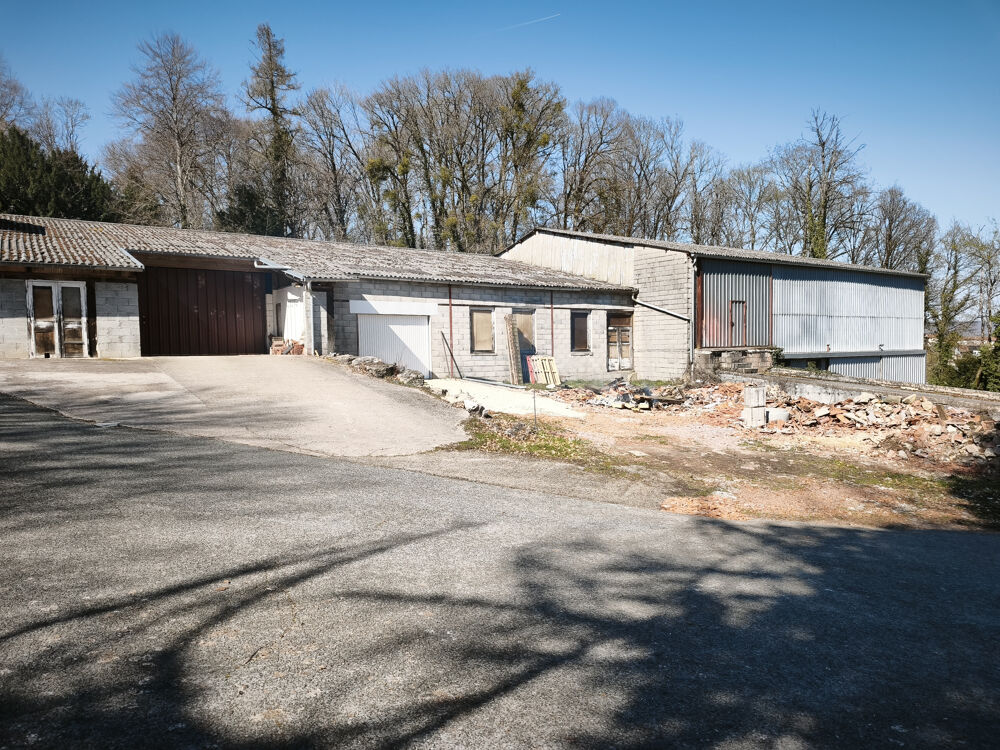 Vente Immeuble immeuble composé de 2 maisons, 2 garages et 2 bâtiments Bourbonne les bains
