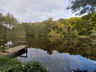  Terrain � vendre 46300 m�