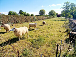  Maison  vendre 3 pices 91 m