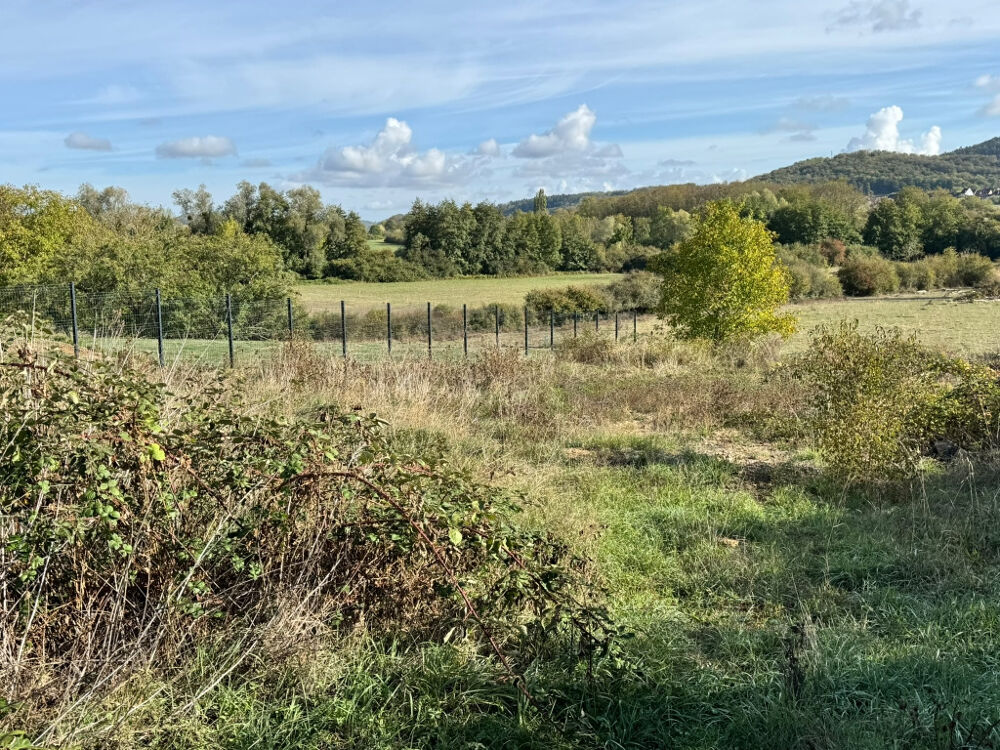 Vente Terrain Terrain constructible viabilisé proche Lons le Saunier Cesancey
