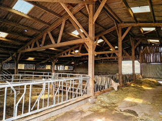  Propri�t�/ch�teau � vendre 6 pi�ces 172 m�