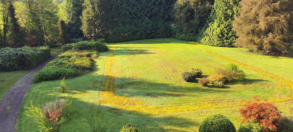 � vendre  Propri�t�/ch�teau La Longine (70310)