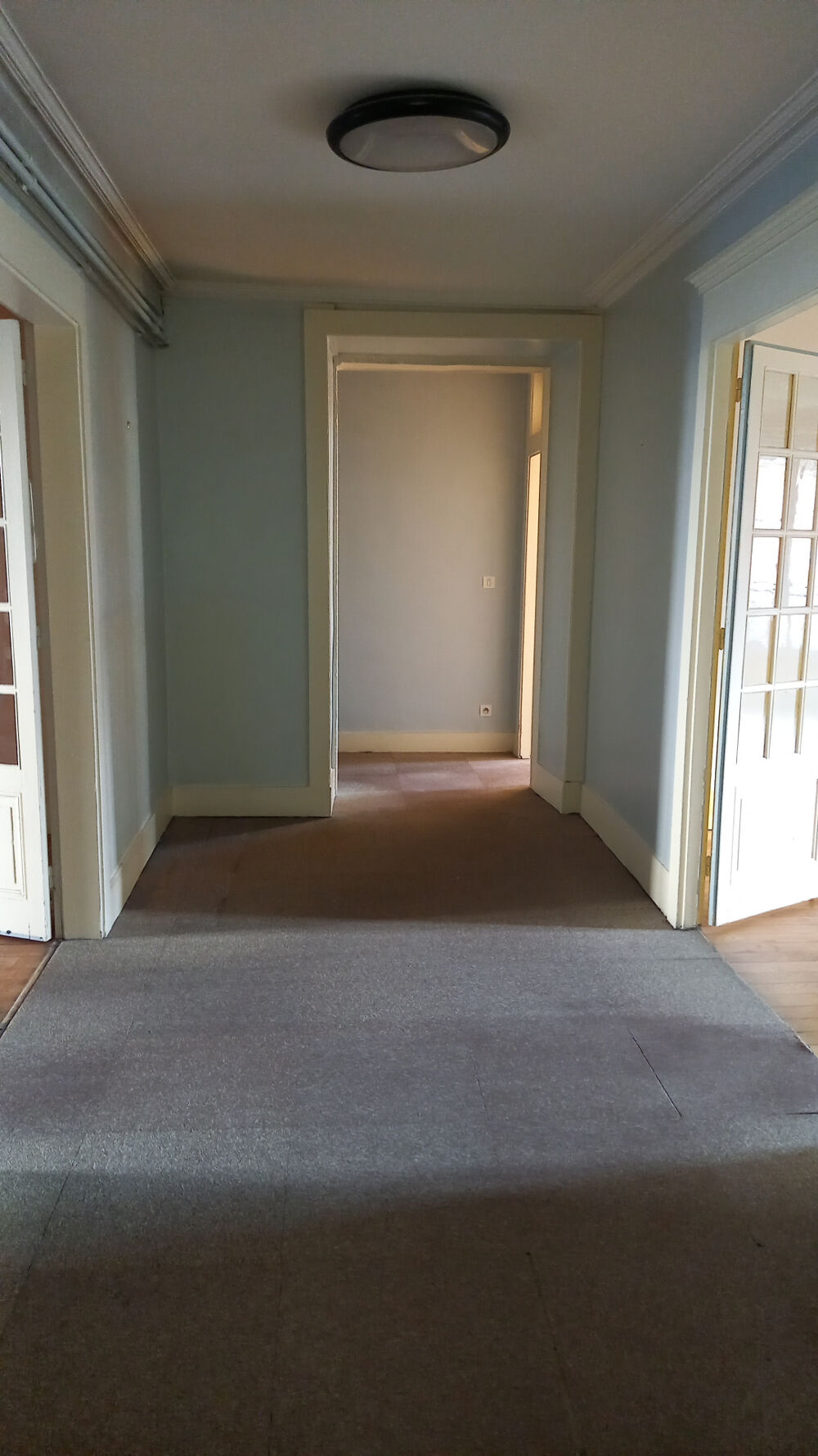 Plateau - Local Professionnel - Appartement