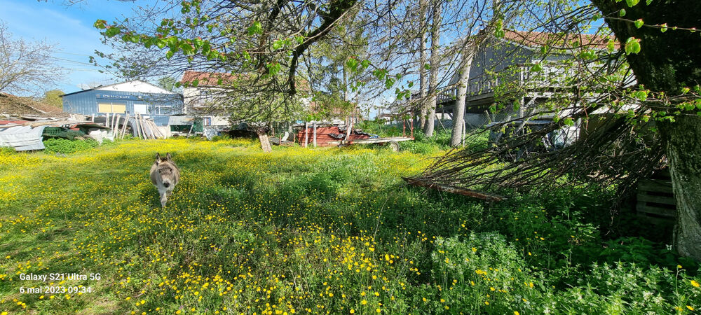 Vente Terrain Terrain constructible L'H�pital du Grosbois L hopital du grosbois