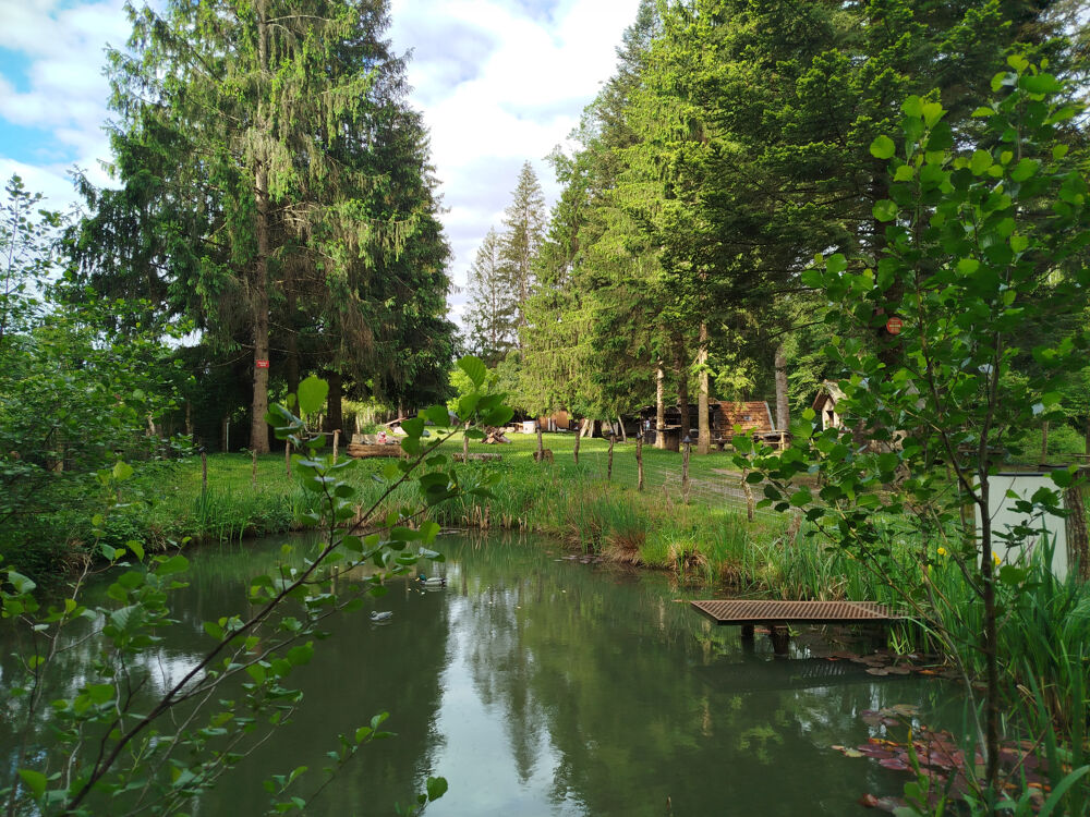 Vente Terrain TERRAIN DE LOISIRS AVEC PLAN D'EAU EN PLEINE NATURE Champsevraine