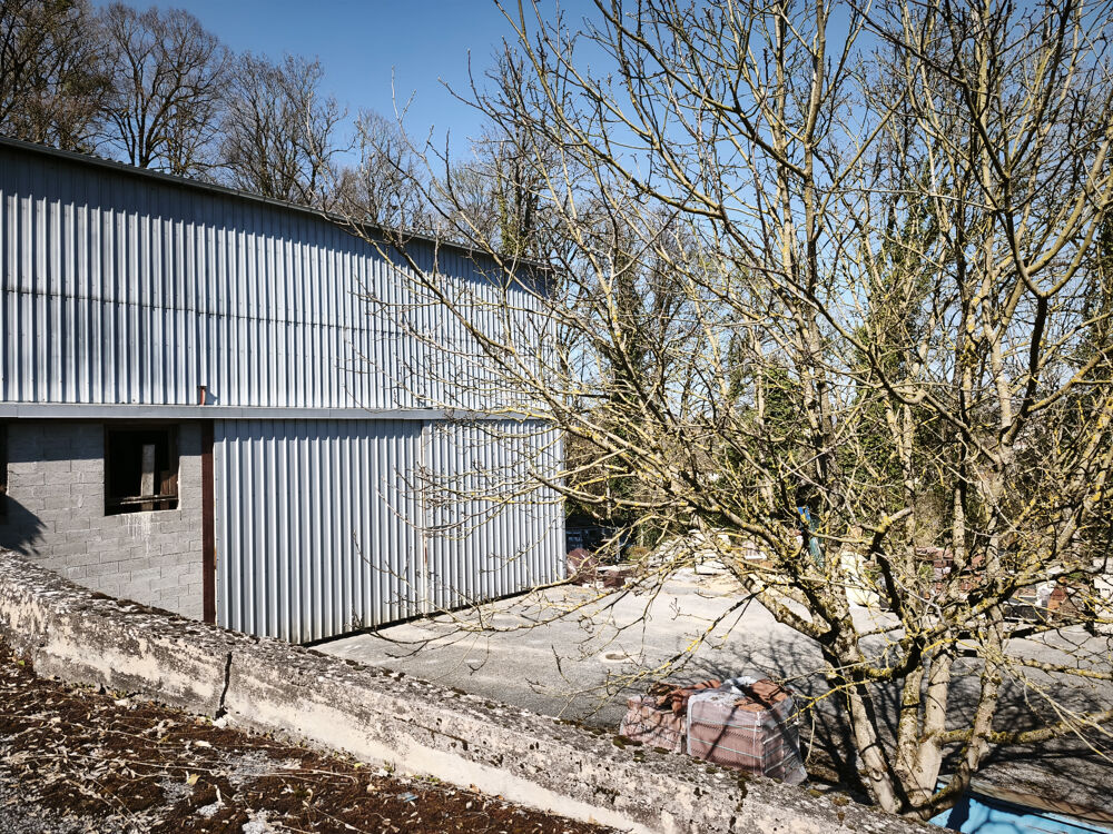 Vente Immeuble immeuble composé de 2 maisons, 2 garages et 2 bâtiments Bourbonne les bains