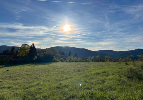   Domaine avec maison principale et 12 gîtes ruraux à vendre sur Avène-34 