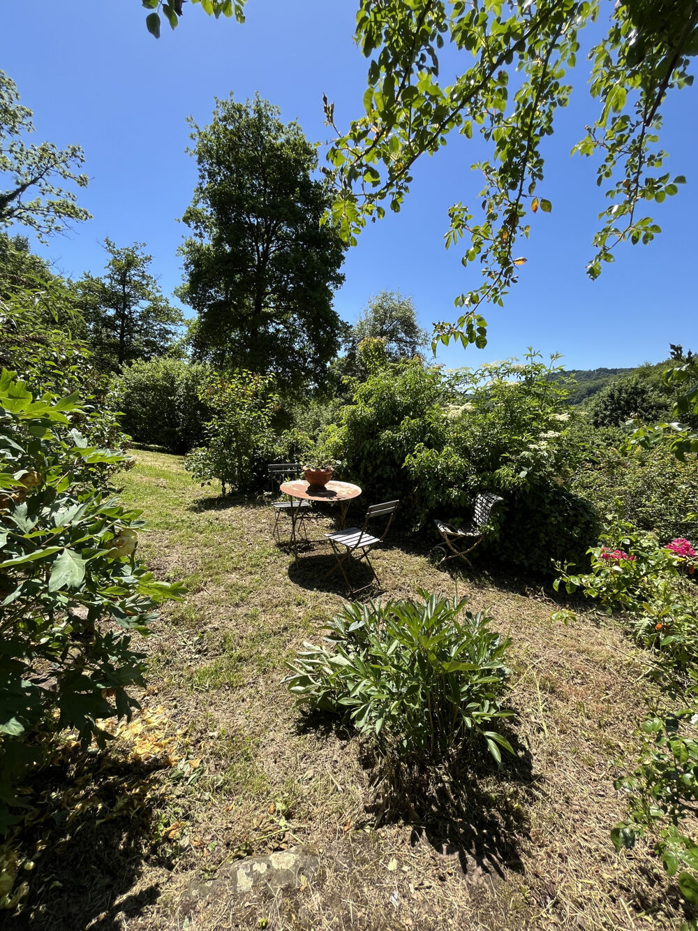 � vendre  Propri�t�/ch�teau Fresse (70270)