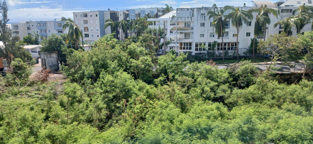 Appartement T1 de 42 m2 situé à Sainte-Clotilde 97490
