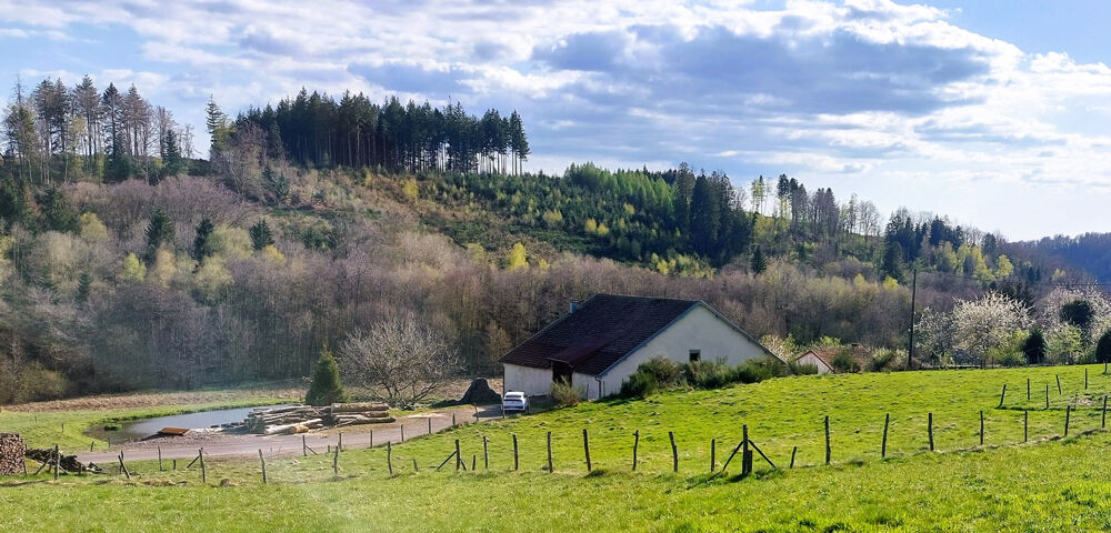 Vente Maison Ancienne ferme à renover avec étang,3 hectares de terrain La longine