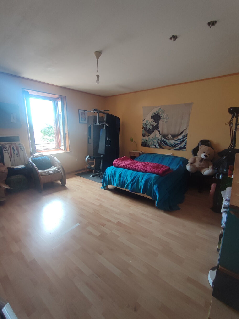 Vente Maison Maison familiale avec terrain Angirey