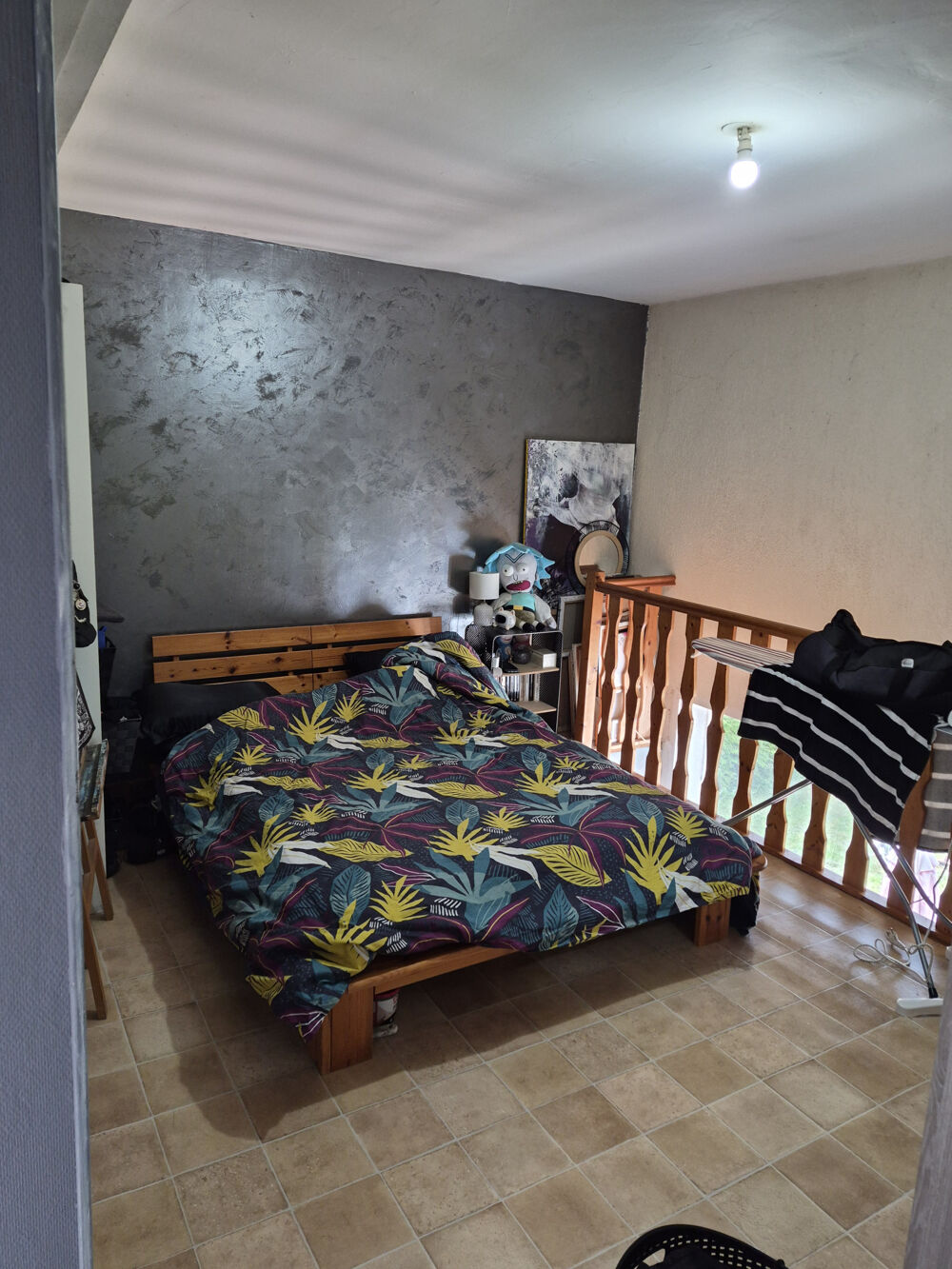 Vente Duplex/Triplex vends appartement Jardin terrasse Cussey sur l ognon