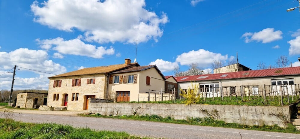 Vente Maison Maison en Pierre de 258 m2, Atelier XXL, 3 Hangars et 2 Hectares de Liberté ! Villars st marcellin