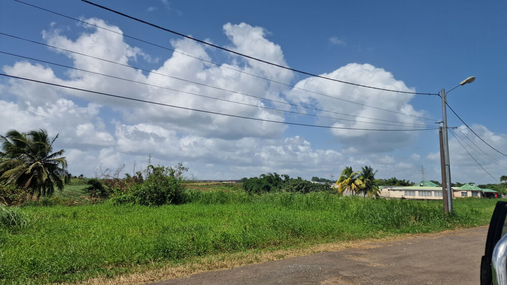 Vente Terrain Terrain à batir - Section Caiiloux au  Lamentin 590m2 Lamentin