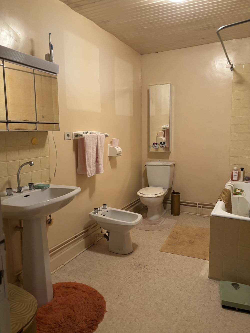 Vente Maison A r�nover deux maisons anciennes avec d�pendances et vue campagne   Voisey (Haute-Marne) Voisey