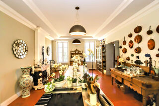  Maison � vendre 15 + pi�ces 360 m�