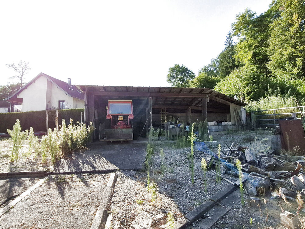 Vente Maison Maison à fort potentiel sur beau terrain Luxeuil les bains