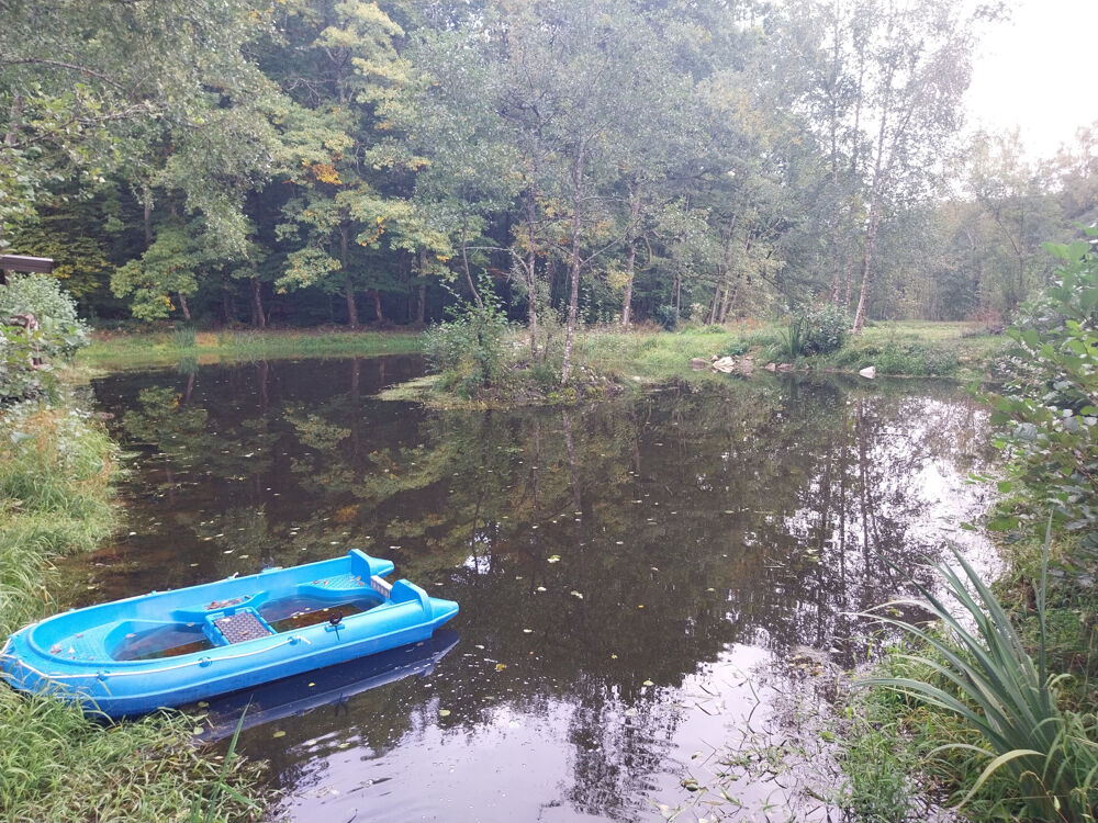 Vente Terrain Terrain 4,63 ha avec 4 étangs au calme Belmont