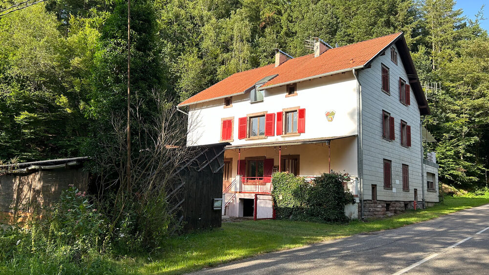 VOSGES DU NORD ATYPIQUE IMMEUBLE 292 m2 12 Pièces
