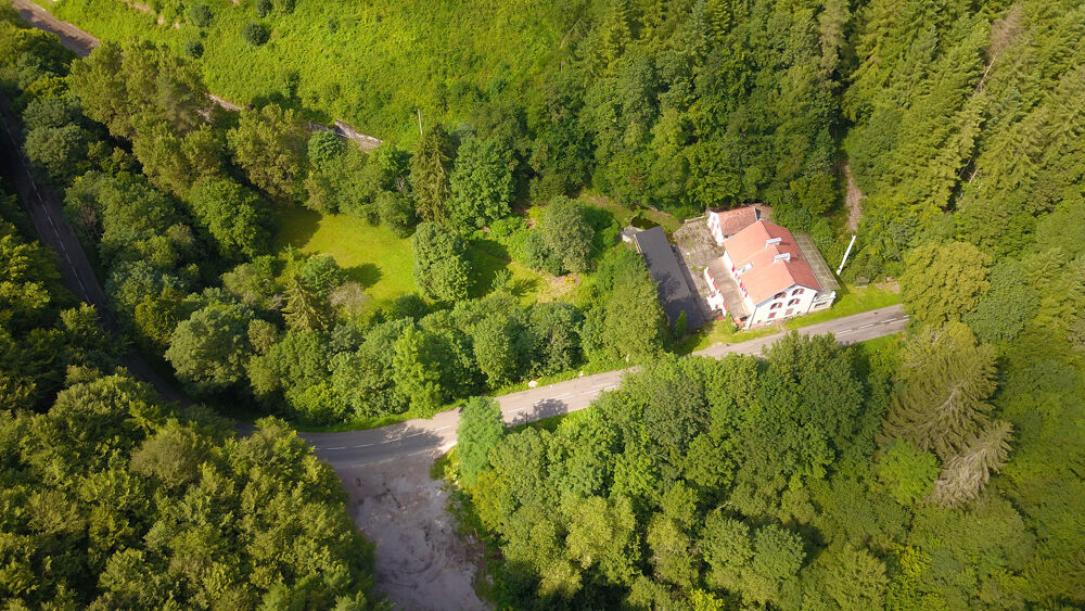 VOSGES DU NORD ATYPIQUE IMMEUBLE 292 m2 12 Pièces