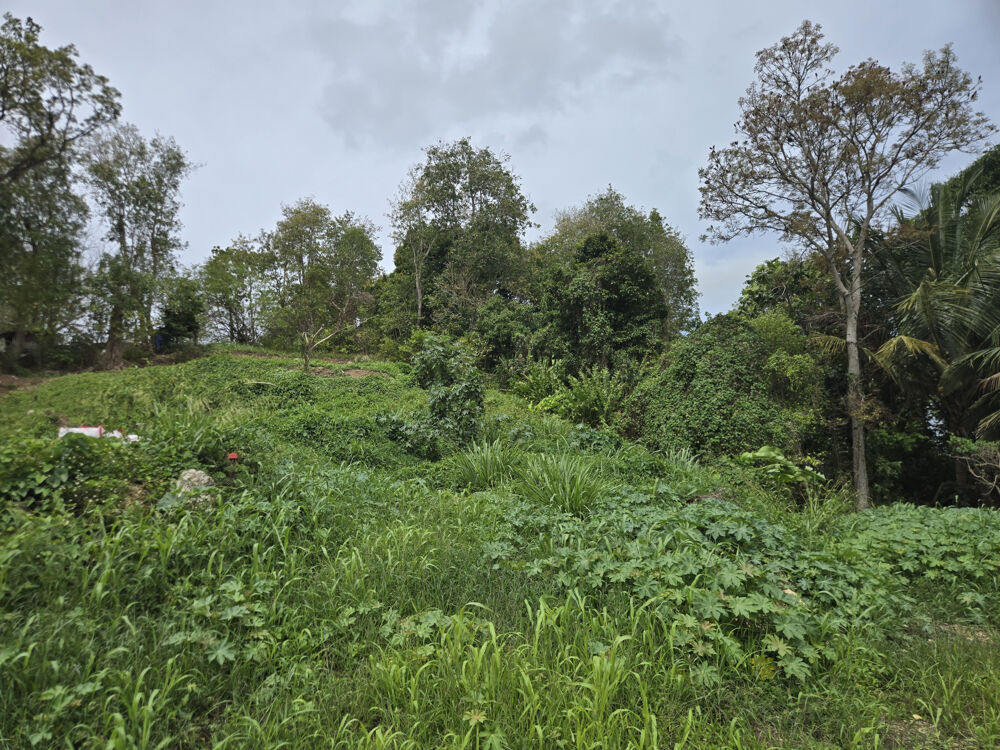 Vente Terrain terrain constructible les Abymes 97139 Guadeloupe Les abymes
