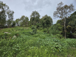 Vente Terrain terrain constructible les Abymes 97139 Guadeloupe Les abymes