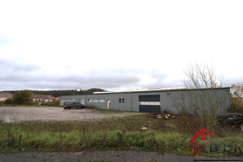 VOSGES SECTEUR  NEUFCHATEAU Local professionnel 800 m2 110000 88300 Neufchateau