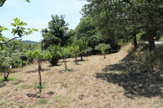  Terrain à vendre 1557 m²