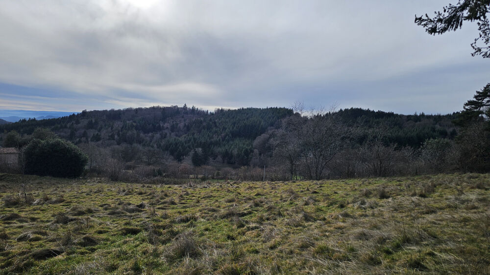 Vente Terrain CHERIER - MAGNIFIQUE TERRAIN CONSTRUCTIBLE D'ENVIRON 7000 M2 VUE IMPRENABLE Cherier